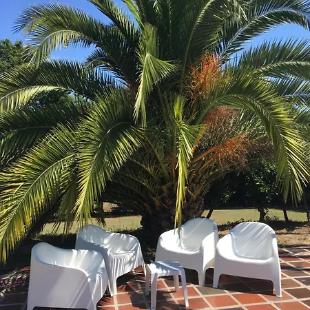 Quinta De Mocamedes - Turismo De Habitacao * Vouzela