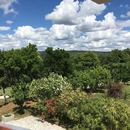 Quinta De Mocamedes - Turismo De Habitacao