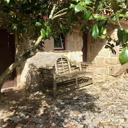 Quinta De Mocamedes - Turismo De Habitacao * Vouzela