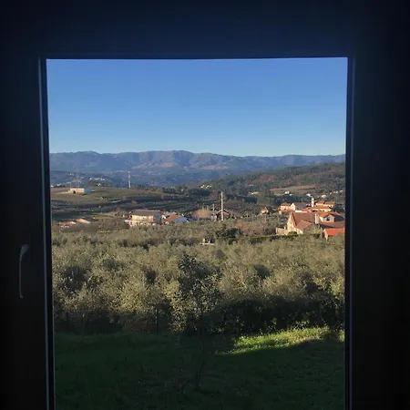 Quinta De Mocamedes - Turismo De Habitacao *