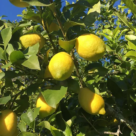 The Hideaway At Quinta De Mocamedes - & فوزيلا