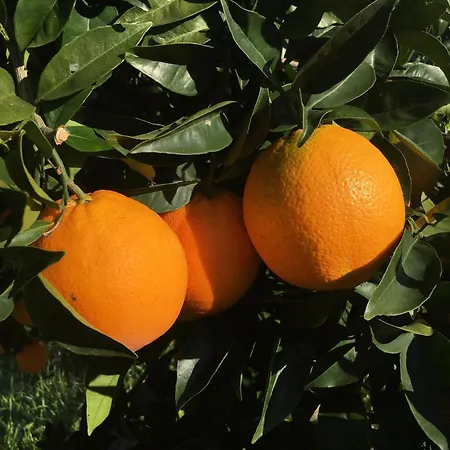 The Hideaway At Quinta De Mocamedes - & فندق *