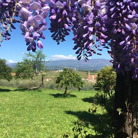 Quinta De Mocamedes - Turismo De Habitacao