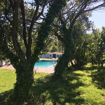 Quinta De Mocamedes - Turismo De Habitacao