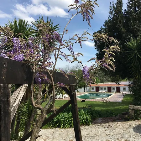 Quinta De Mocamedes - Turismo De Habitacao Hotel *