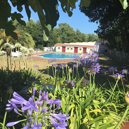Hotel Quinta De Mocamedes - Turismo De Habitacao