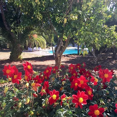 Hotel The Hideaway At Quinta De Mocamedes - & Vouzela