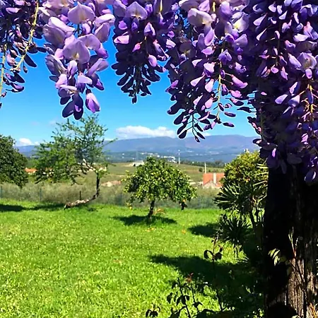 Hotel The Hideaway At Quinta De Mocamedes - & *
