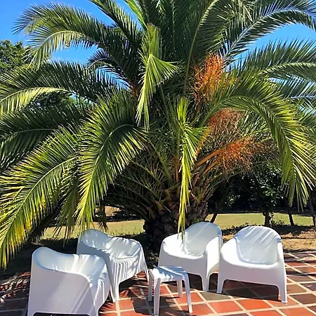 The Hideaway At Quinta De Mocamedes - & Vouzela