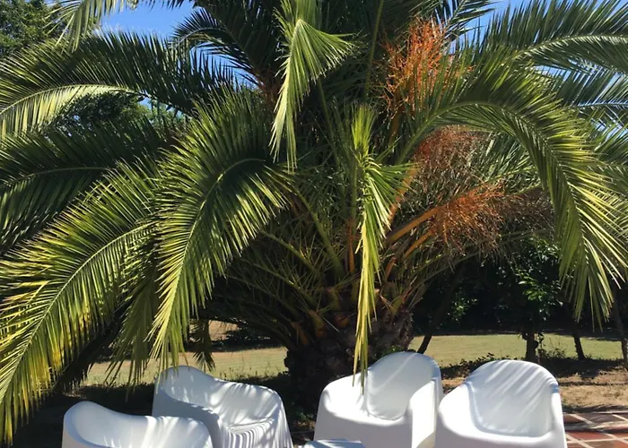 The Hideaway At Quinta De Mocamedes - & * Vouzela