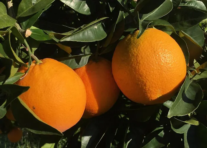 The Hideaway At Quinta De Mocamedes - & Ξενοδοχείο *