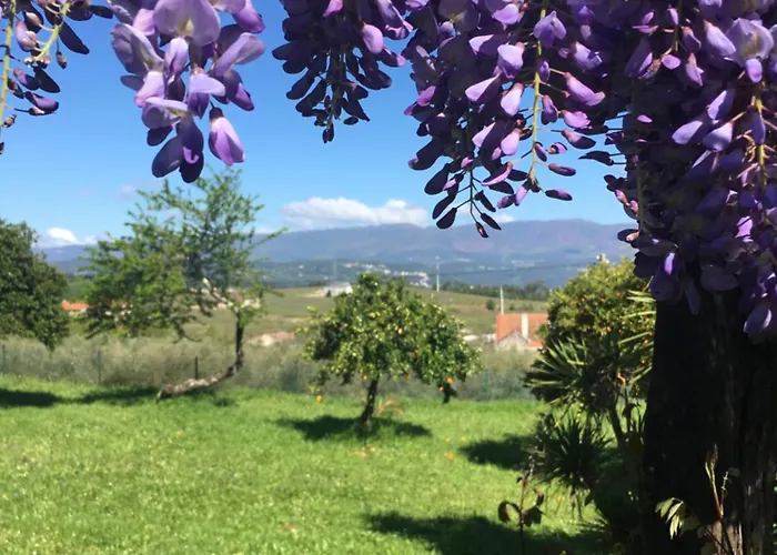 The Hideaway At Quinta De Mocamedes - &