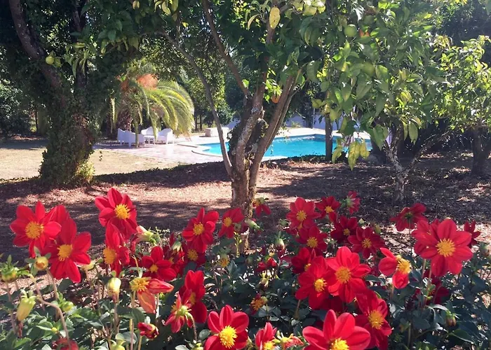 Hotel The Hideaway At Quinta De Mocamedes - & Vouzela