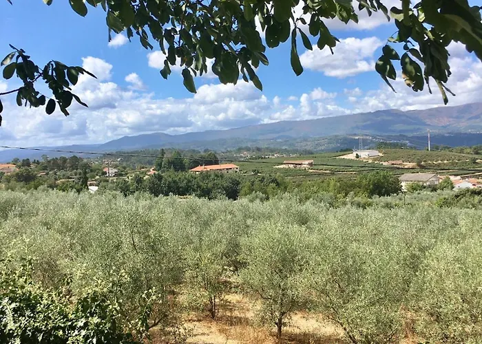 Hotel The Hideaway At Quinta De Mocamedes - & *